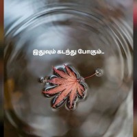 Sarigha Jeya Seelan