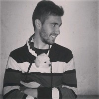 Mauro Cesca