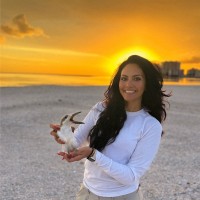 Sarah Almassri, Awb®