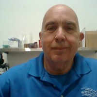 Lowell Bellis