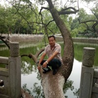陈应强