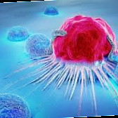 Oncopathology Journal
