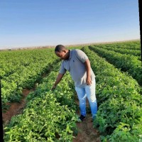 احمد الاسوانى