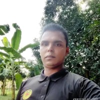 Md Faruk Hossain Md Faruk Hossain