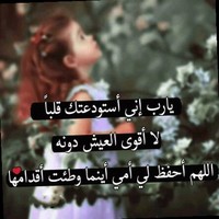 جنونه المجنونه