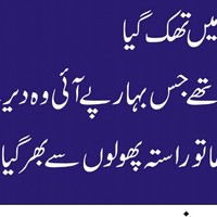 Qari Ateeq