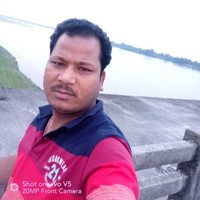 Bipul Roy
