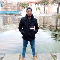 Buyisile Kholisa, Phd