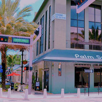 The Palm Sugar at West Palm Beach