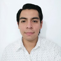 Luis Arturo Olivares Cruz