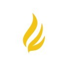 Larson Financial Holding