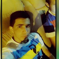 Bara Amli