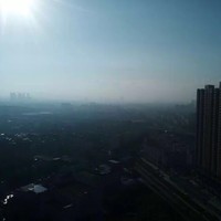 谢锋锋