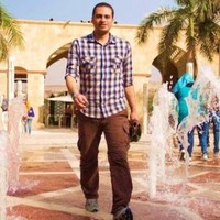 Mohamed Fawzy Mandour