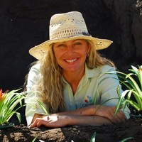 Sue Bampton