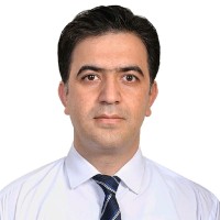 Hamid Amiri