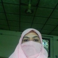 Summar Gull
