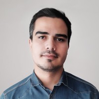 Mojtaba Hatami