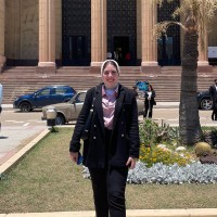 Mariam Waleed