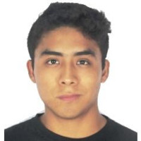 Brian Carlos Quispe Avendaño