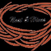 Nest And Hives