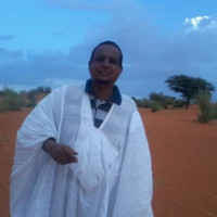 mohamed lemine sidi salem