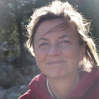 Gerda Lenselink