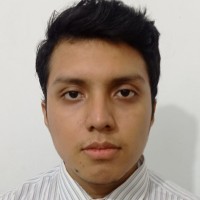 Alvaro Moises Castro Romero