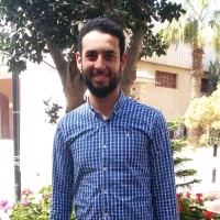 Ayman Elsayed