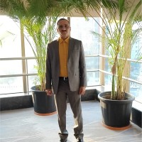 Rashmin Prajapati (Managing Partner)