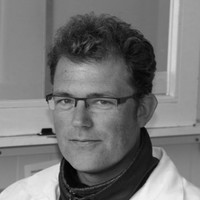 M. Hofman