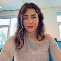 Fatemeh Ahmadi