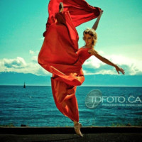 andrea bayne