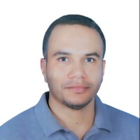 Ahmed A M Mostafa