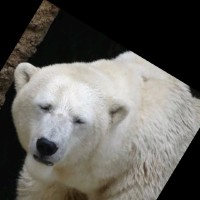 edvaldo morais menezes