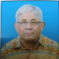 Sudip Ray