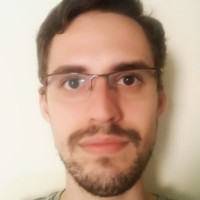 Vinicius Henrique Menani