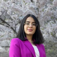 Parand Alizadeh Alamdari