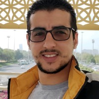 Mahmoud Elhenawy