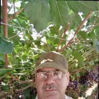 Gideon Crous