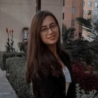 Julieth carolina Anillo Santos