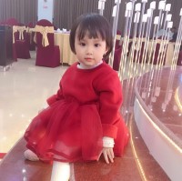 Sơn Phạm Hoàng