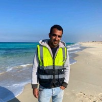 Khaled Ahmed