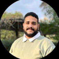 Mohamed Hisham Ali