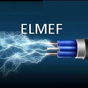elmef delhi