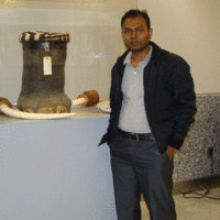 Biswajit Biswal