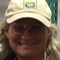 Jane Sooby