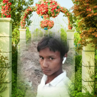 Sonu Raj