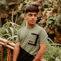 Mohammad Hadi Habibi