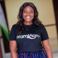 Priscilla Offei-Asare